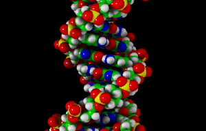 Why Did Feds Decide To DNA Swab Suspects In The Shrimp Boy/Leland Yee Corruption Case?