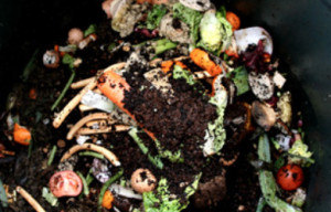 Get Up To 5 Gallons of Free Compost This Saturday